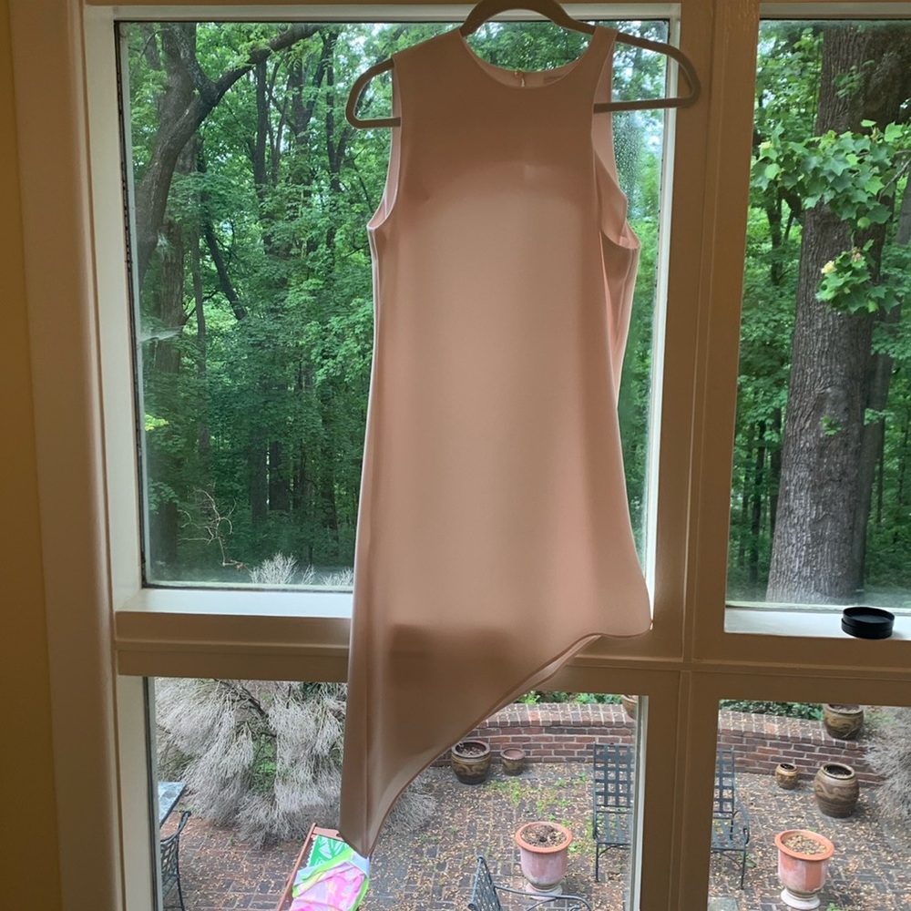 Iro crepe blush dress